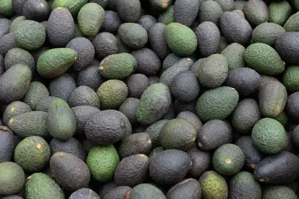 imageye___-_imgi_70_rsw_600cg_truem