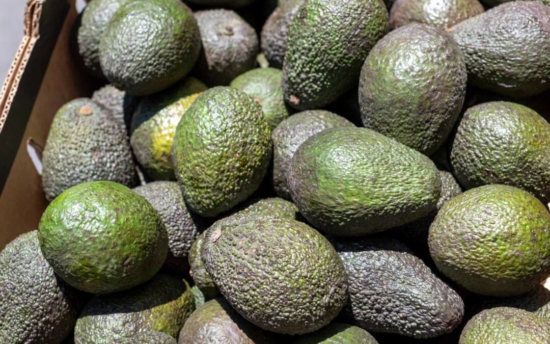 50,570 pounds of avocados