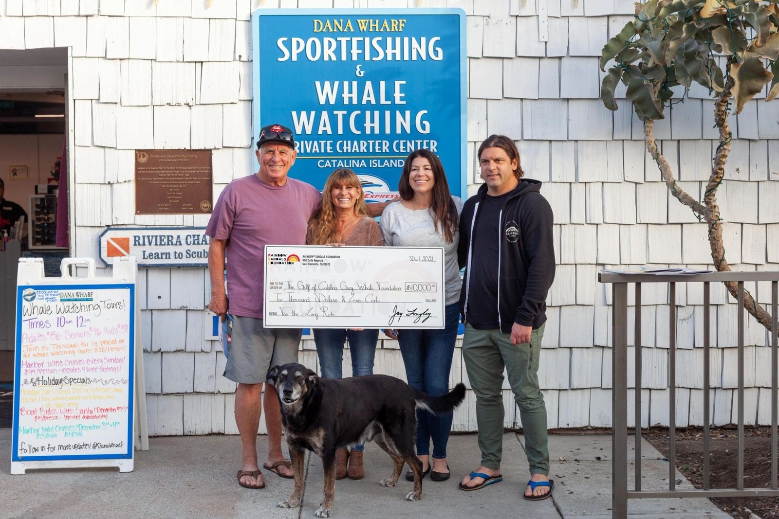 The Gulf of Catalina Grey Whale Foundation.jpg